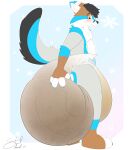 absurd_res anthro big_diaper blush canid canine canis clothing diaper diaper_squish embarrassed extremius_amphibious feces fox hi_res looking_at_viewer male mammal messy messy_diaper raised_tail side_view soiling solo tail underwear wolf