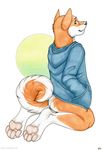  bottomless canine dog hoodie korrok looking_at_viewer looking_back male mammal shiba_inu solo 