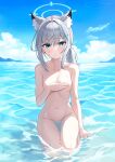  1girl absurdres animal_ear_fluff animal_ears blue_archive blue_eyes blush day extra_ears goyain grey_hair highres looking_at_viewer medium_hair outdoors shiroko_(blue_archive) solo wolf_ears 