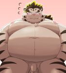 2024 anthro balls belly big_belly blush felid flaccid genitals hi_res kemono licho_(tas) lifewonders male mammal mohumohudansi moobs navel nipples overweight overweight_male pantherine penis pink_background pink_nose simple_background solo tiger tokyo_afterschool_summoners white_body