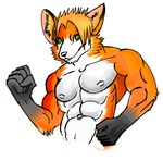  bardofox biceps canine female fox fur green_eyes handsome invalid_color invalid_tag male mammal muscles orange_fur pecs solo straight stylish white_fur 