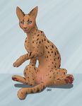  blue_eyes blush digitoxici feline female feral mammal open_mouth presenting pussy serval sitting smile spreading 