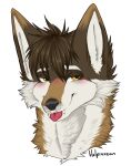 amber_eyes anthro blep blush brown_body brown_fur brown_hair canid canine canis coyote fur hair headshot_portrait hi_res looking_at_viewer male mammal portrait solo tongue tongue_out vulpixxeon white_body white_fur