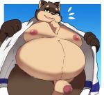 2024 anthro balls belly big_belly canid canine censored genitals green_eyes hi_res kemono kusosensei male mammal moobs nipples overweight overweight_male penis raccoon_dog shoutaro simple_background solo tanuki