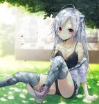  ahoge animal_ears cat_ears dappled_sunlight la-na long_hair looking_at_viewer original red_eyes shoes shorts silver_hair sitting smile solo sunlight thighhighs 