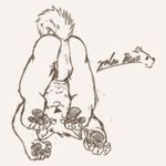  canine clothing happy hindpaw kemono male mammal nipples pawpads paws plain_background sketch solo stevenlew underwear upside_down white_background 