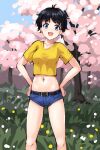  1girl :d aposine belt black_belt black_hair blue_eyes blue_shorts blue_sky breasts cherry_blossoms collarbone cowboy_shot crop_top cropped_shirt day grass hands_on_own_hips looking_at_viewer medium_breasts navel original outdoors shirt short_hair short_shorts shorts sky smile solo spring_(season) standing t-shirt tomboy tongue tree yellow_shirt 