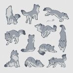 1:1 2024 absurd_res ambiguous_gender canid canine canis countershade_fur countershading dipstick_ears dipstick_tail eyes_closed feral fur grey_body grey_fur group hi_res mammal markings multicolored_ears multiple_poses pose quadruped rinrinwolf running simple_background sitting stretching tail tail_markings white_background white_body white_countershading wolf