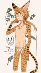  1boy animal_ears body_fur brown_background brown_fur brown_hair bulge cat_boy cat_ears cat_tail closed_mouth commentary_request cropped_legs extra_nipples facial_mark fundoshi hand_up highres japanese_clothes looking_at_viewer male_focus monster_boy original plant sasamichr short_eyebrows short_hair simple_background slit_pupils solo standing tail translation_request yellow_eyes 
