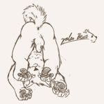  balls butt canine happy hindpaw kemono male mammal nipples pawpads paws penis plain_background sketch solo stevenlew upside_down white_background 