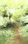  absurdres bush dappled_sunlight day forest highres nature no_humans original painting_(medium) path plant scenery shadow shimizu_megumi_(m_acquerello) sunlight traditional_media watercolor_(medium) 