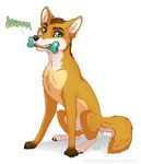  brown_hair bundadingy canine dingo dog_toy feral fur green_eyes hair male mammal orange_fur rukifox solo 