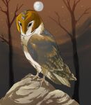  armor avian barn_owl bird black_eyes brown_body brown_feathers feathers feet feral guardians_of_ga&#039;hoole headgear headgear_only helmet helmet_only kludd male mask metal_beak moon night owl plant silverkiwi78 solo talons toes tree tyto tytonid white_body white_feathers 