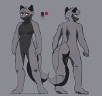 5_fingers anthro arturo_wolff back_markings black_body black_fur canid canine canis countershading fingers flat_colors front_view fur grey_body grey_fur hair looking_away looking_back male mammal markings mizu_wolf model_sheet notched_ear plantigrade rear_view red_eyes reverse_countershading short_hair simple_background slim solo solo_focus standing wolf 