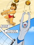  anthro ball beach bulge canid canine canis clothed clothing comic coyote duo english_text fish fuze hi_res ian_dela_cruz male mammal marine mond_reyes navel net nipples shark speedo speedo_only sport swimwear texnatsu text topless volleyball volleyball_(ball) volleyball_net 