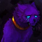  ambiguous_gender blue_eyes canine collar crying falvie fur mammal purple_fur solo wolf 