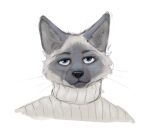  2022 anthro banoncat blue_eyes clothing deadpan fur headshot_portrait inner_ear_fluff male meezer multicolored_body multicolored_fur portrait simple_background solo stare sweater topwear tuft turtleneck two_tone_body two_tone_fur whiskers 