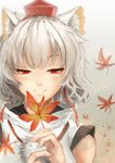  animal_ears closed_mouth gradient gradient_background hat inubashiri_momiji leaf maple_leaf pom_pom_(clothes) portrait red_eyes rikkido shirt short_hair simple_background smile solo string tokin_hat touhou white_hair wolf_ears 