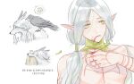  1girl ? alternate_form animal_on_shoulder arm_tattoo arrow_(symbol) bird bird_on_shoulder biting blood blood_on_face blood_on_hands chest_tattoo crow dungeon_meshi elf finger_to_mouth fleki frown furry furry_male grey_hair hair_between_eyes hair_over_shoulder hair_tubes hand_tattoo hand_up highres korean_commentary korean_text long_hair looking_to_the_side low_twintails lycion male_focus multiple_views notched_ear o_x_ygen parted_bangs pointy_ears simple_background spoken_character tattoo thinking topless_male twintails upper_body wolf 