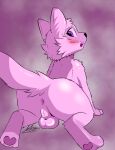  absurd_res anthro anus balls blush canid canine canis feral fur genitals hair hi_res male mammal marianart_1 penis pink_body pink_hair purple_eyes simple_background solo tongue tongue_out wolf 