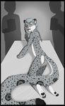  barefoot feline female human leopard mammal pussy snow_leopard tobi_(artist) transformation young 