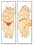  2024 3:4 anthro asian_clothing belly butt canid canine canis clothing dakimakura_pose domestic_dog east_asian_clothing fundoshi hi_res inunoshippo japanese_clothing kemono lying male mammal moobs navel nipples overweight overweight_male red_clothing red_fundoshi red_underwear solo underwear 