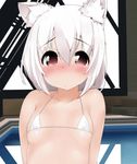  :o animal_ears animated animated_gif bikini bikini_top blush breasts emofuri head_tilt inubashiri_momiji lowres md5_mismatch micro_bikini no_hat no_headwear nose_blush open_mouth pool red_eyes rei_no_pool short_hair small_breasts swimsuit tera_zip touhou ugoira white_bikini white_hair wolf_ears 