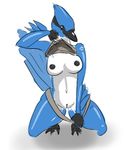  beak bird blue_jay breasts cute female plain_background pussy 