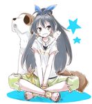  animal black_hair blue_eyes bracelet capri_pants dog earrings ganaha_hibiki grin hamster hamuzou hoop_earrings idolmaster idolmaster_(classic) inumi jewelry kawa-yan long_hair pants ponytail sandals smile st_bernard 