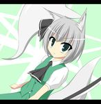  1girl animal_ears character_request female fox_ears fox_tail konpaku_youmu mizuki_(kogetsu-tei) solo tail touhou 