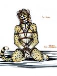  anthro ball_gag bdsm bondage bound cheetah collar feline gag male mammal nude rope rope_bondage solo ts-cat 