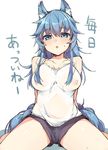  animal_ears aqua_eyes areolae bare_shoulders blue_hair breasts copyright_request covered_nipples haruyuki_(yukichasoba) large_breasts long_hair open_mouth see-through shiny shiny_skin short_shorts shorts sitting solo sweat tail tank_top wariza 