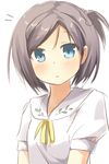  ascot blue_eyes blush brown_hair expressionless hentai_ouji_to_warawanai_neko. puffy_short_sleeves puffy_sleeves ran_(9ens2000) short_hair short_sleeves solo tsurime tsutsukakushi_tsukiko 