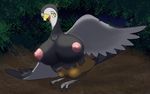  big_breasts bird breasts female kakuheiki nintendo pok&#233;mon pok&eacute;mon unfezant video_games 