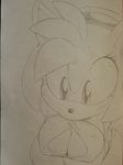  argento big_breasts breasts drawing female plain_background sega sonic_(series) traditional_media 