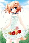  animal_ears blonde_hair blue_eyes dog_ears food fruit pure_pure ribbon sachi sakurazawa_izumi skirt skirt_basket solo white_skirt 