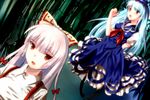  blue_hair bow fujiwara_no_mokou hair_ribbon hat irusu kamishirasawa_keine long_hair multiple_girls red_eyes ribbon silver_hair suspenders touhou 