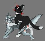 alien_stage alternate_species anal anal_penetration anatomically_correct animal_genitalia animal_penis blood blood_in_mouth bodily_fluids collar cum cum_in_ass cum_inside death death_during_sex domestic_cat duo felid feline feline_genitalia feline_penis felis feral feral_on_feral genital_fluids genitals gunshot_wound hi_res ivan_(alien_stage) male male/male mammal penetration penis shocked shot_in_head snuff till_(alien_stage) toxoplasmosis_(toxoplasmatinae)