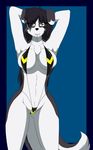 black_fur black_hair blue_background border_collie breasts brown_eyes caine cainesart canine chest_tuft clothed clothing crossgender dog female fur hair looking_at_viewer mammal navel plain_background skimpy solo swimsuit tuft white_fur 