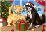 2024 canid canine canis christmas christmas_clothing christmas_headwear christmas_tree claws clothing countershade_face countershade_fur countershade_torso countershading dipstick_tail domestic_dog duo eyewear fangs feral floppy_ears fur gift glasses hat hatwolf hatwolf_(character) headgear headwear hi_res holidays male mammal markings open_mouth open_smile paws plant quadruped santa_hat smile tail tail_markings teeth tongue tongue_out tree window wolf