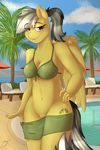  absurd_res anthro anthrofied big_muffintosh bikini cleavage clothed clothing cloud cutie_mark daring_do_(mlp) equine eyelashes female friendship_is_magic hair hi_res looking_at_viewer mammal my_little_pony navel outside pegasus pool pussy smile solo swimsuit water wings 