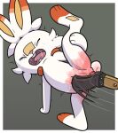 2024 abuse anthro arm_support ball_spanking ballbusting balls barely_visible_genitalia barely_visible_penis bodily_fluids border butt butt_slap cock_and_ball_torture digital_media_(artwork) dipstick_ears ear_markings erection eyes_closed feet fur fuzzo generation_8_pokemon genital_torture genitals hi_res holding_leg holding_raised_leg lagomorph long_ears male mammal markings masochism motion_lines multicolored_ears nintendo on_one_leg one_leg_up open_mouth orange_markings paddle pain penis pokemon pokemon_(species) presenting_balls raised_leg reddened_butt reddened_scrotum saliva scorbunny screaming scut_tail shaking short_tail simple_background slap snot solo spank_marks spanking standing suffering tail tears tongue torture white_body white_border white_fur