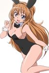  :d animal_ears bare_shoulders blue_eyes bow bowtie breasts brown_hair bunny_ears bunnysuit cleavage covered_navel detached_collar fake_animal_ears houjou_hibiki leotard long_hair manji_(tenketsu) medium_breasts open_mouth precure shiny shiny_skin smile solo suite_precure very_long_hair wrist_cuffs 