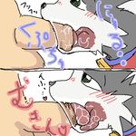  blush cat feline feral human japanese_text male mammal marm oral penis text uncut 