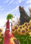  bad_id bad_pixiv_id blur claws crossover deviljho fangs flower from_behind green_hair highres hitoe_(urayama_volcano) kazami_yuuka monster monster_hunter plaid plaid_skirt plaid_vest roaring short_hair skirt spikes sunflower touhou vest 