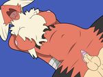  blaziken breasts chest_fur chest_tuft female fur interspecies male mega_blaziken mega_evolution navel nintendo nipples open_mouth penis plain_background pok&#233;mon pok&#233;mon_trainer pok&#233;philia pok&eacute;mon pok&eacute;mon_trainer pussy straight tongue tuft video_games 