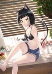  animal_ears arm_support barefoot bikini_top black_hair breasts cat cat_ears cat_tail cleavage kyon_(fuuran) looking_at_viewer navel original shorts small_breasts smile solo tail yellow_eyes 