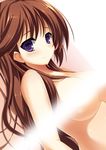  1girl blush breasts brown_hair censored highres kyuu_pito long_hair looking_at_viewer original purple_eyes smile solo topless 
