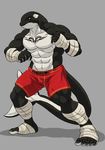  5_toes abs anthro bandage biceps big_muscles blue_eyes cetacean clothing fist human_feet male mammal marine muscles orca pecs plain_background pose solo standing tattoo toes topless trunks_(clothing) wfa whale 