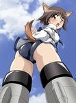  animal_ears arms_behind_back ass bdsm bondage bound brown_eyes brown_hair dog_ears dog_tail from_below highres miyafuji_yoshika open_mouth sahara_kazumitsu school_swimsuit shibari shibari_over_clothes short_hair solo strike_witches striker_unit sweatdrop swimsuit swimsuit_under_clothes tail world_witches_series 